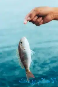 سمك