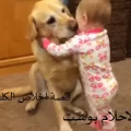 قصة وفاء الكلب