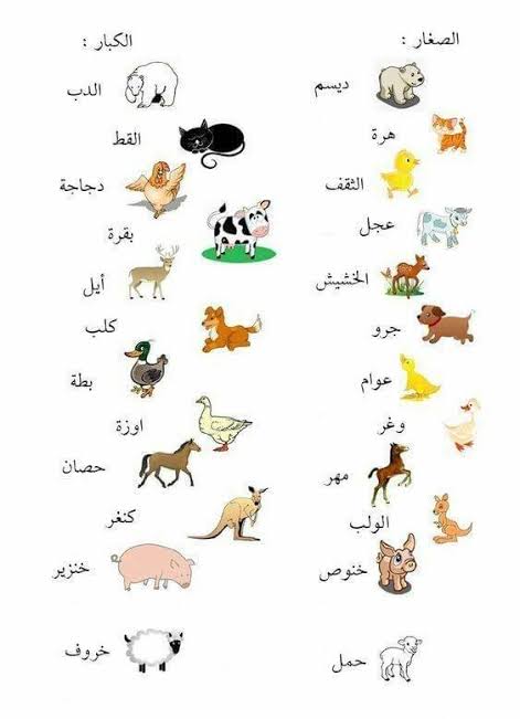 أسماء الحيوانات وصغارها بالعربية