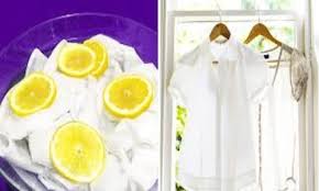 الليمون لإزالة العفن من الملابس